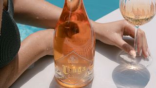 Degustazione di vini elegante presso la tenuta Avantis