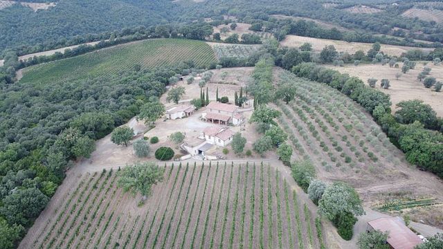 Degustazione Vini a Pierini e Brugi