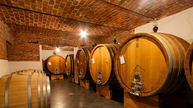 Classici Dell'Albese-Erlebnis im Poderi Moretti Di Moretti Francesco