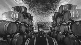 Sala de Experiências de Vinhos Torriano