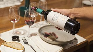 Mendoza Gourmet Pairing at Martino Wines