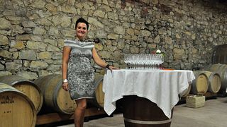 Degustação de vinhos e tour na Azienda Agricola Coffele Alberto