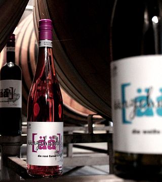 Dégustation de vins et visite du Weingut Fritz Walter