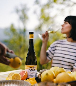Alla scoperta di Loureiro