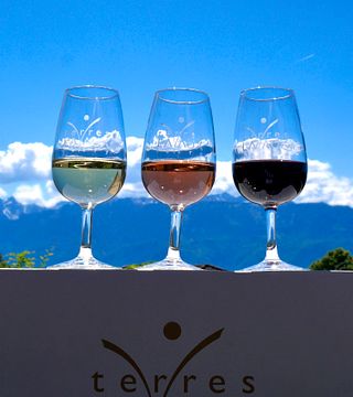 Entdeckungsverkostung von 3 einzigartigen Weinen bei Terres de Lavaux
