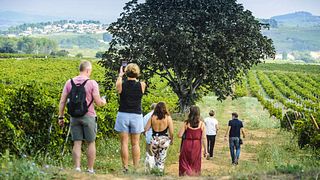 Die Vergangenheit schmecken, die Gegenwart genießen | Weingut Mas Comtal