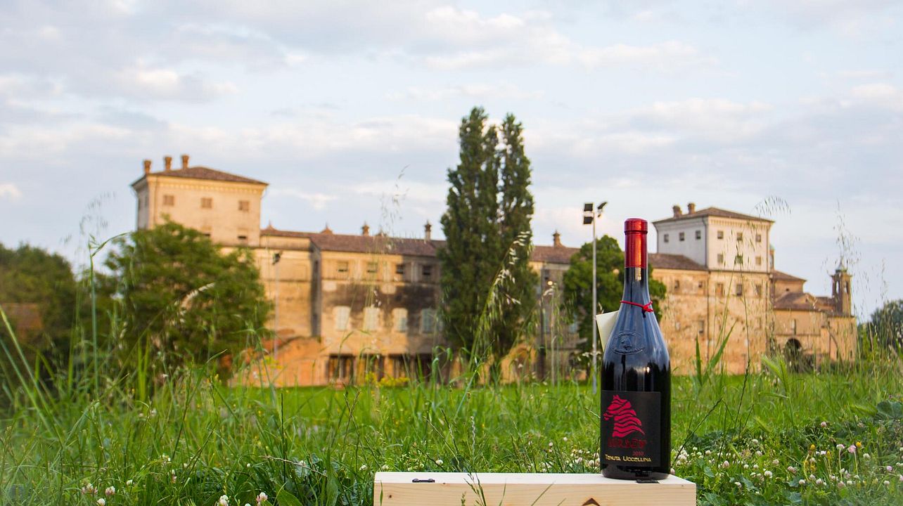 Tenuta Uccellina Winery