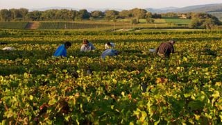Domaine de L'Echelette