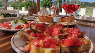 Visite des vignobles de la Masseria