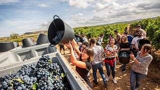 Bodegas Arrocal