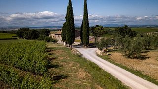 Cata de vinos y visita guiada al Fattoi Ofelio E Figli.