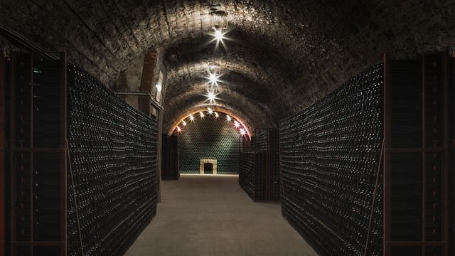 Degustazione di champagne, pasto e tour allo Champagne Sanger