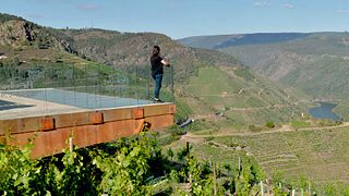 Tour e degustazione di vini alle Bodegas Regina Viarum