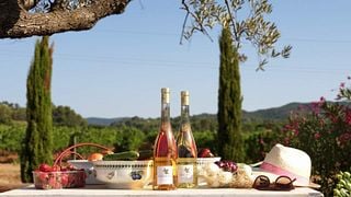 Wine Tasting and Tour at Château Les Valentines