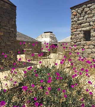 Experience Tranquility at Clos De Tres Cantos