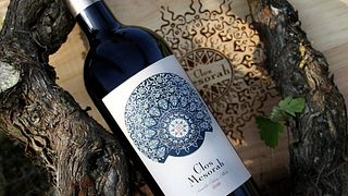 Weinprobe und Tour im Clos Mesorah und La Saltadora