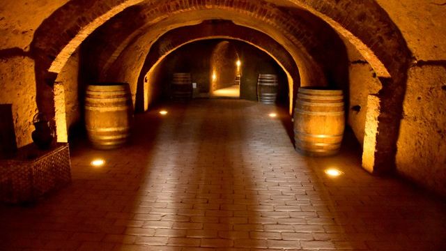 Usiglian del Vescovo Winery