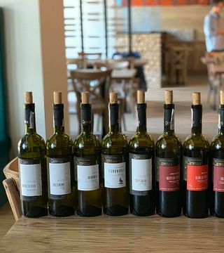 Kakheti’s Finest: Gevelli Wine & Heritage Tasting