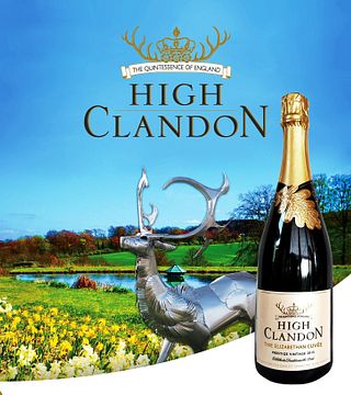High Clandon Estate Vineyard