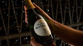 Dégustation de vins classiques et visite chez Ricci Curbastro