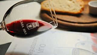 Degustação de vinhos e tour na Casa Sola