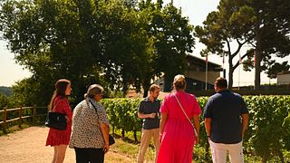 Château La Croizille, St Emilion Grand Cru Classé:visita e degustazione