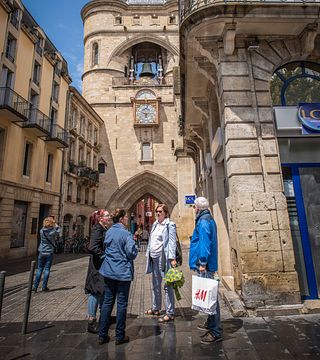 Scopri i vini di Bordeaux: tour a piedi tra storia e vino 