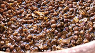 Albana: una variedad, muchas expresiones.