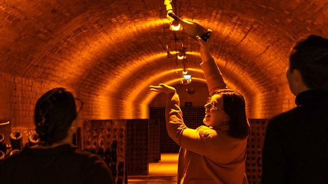 Immersion gastronomique : visite, dégustation et déjeuner au champagne