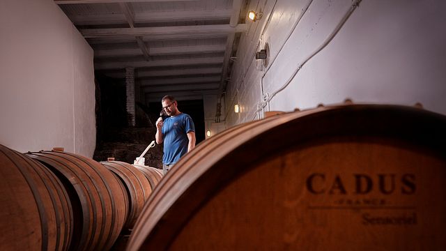 Weinprobe und Tour im Tenuta San Vito