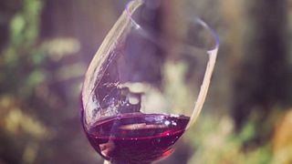 Castilla y León Cave-Aged Wine Tasting at Bodegas Belote