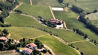 Visita guidata alla cantina Tre Monti e degustazione dei suoi vini pregiati in Romagna.
