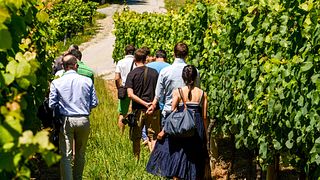 Hiruzta Bodega