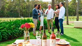 Dégustation de vins chez Clairault Streicker Wines