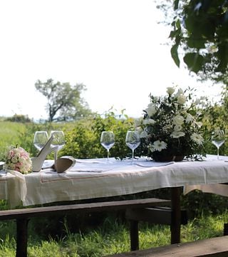 Picnic in the Vineyards