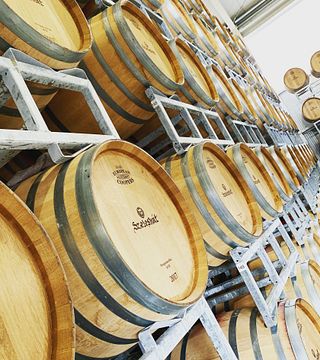 Weinprobe und Führung auf dem Weingut Szeleshát
