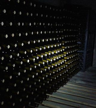Degustazione di vini e tour a Ghvardzelashvilis Marani