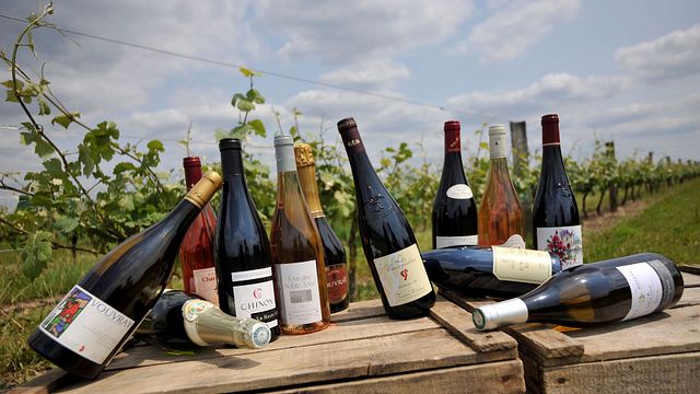 Loire Valley Wine Tour : Exploring Chinon & Bourgueil Vineyards