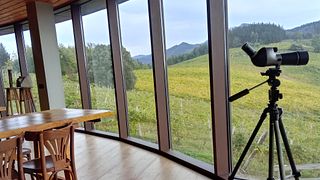 Cave Berroja : Txakoli, nature et paysage