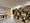 Visit and tasting with the producer