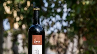 Degustazione e tour di vini premium alle Cantine Bava