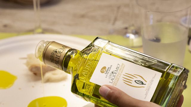 Dégustation d'huiles et de vins à la Fattoria La Palagina