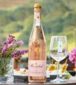 Degustazione di vini privati e tour a Rezabal