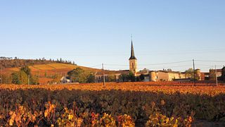 Domaine du Barvy