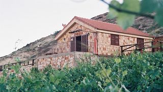 Degustação de vinhos e passeio em Coteaux Du Liban