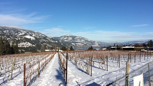 Wine Tasting at Rollingdale Winery