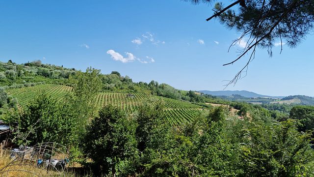 Dégustation de vins chez Pasqualetti Viticoltori