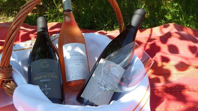 Weinprobe und Führung im Domaine Les Capréoles