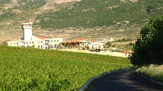 Degustazione di vini e tour alla Grotta Kouroum