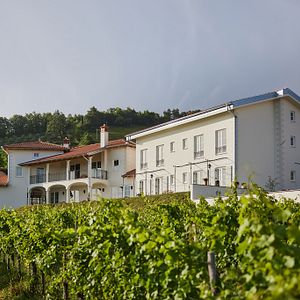 Villa di lusso ad uso esclusivo - Peterc Vineyard Estate